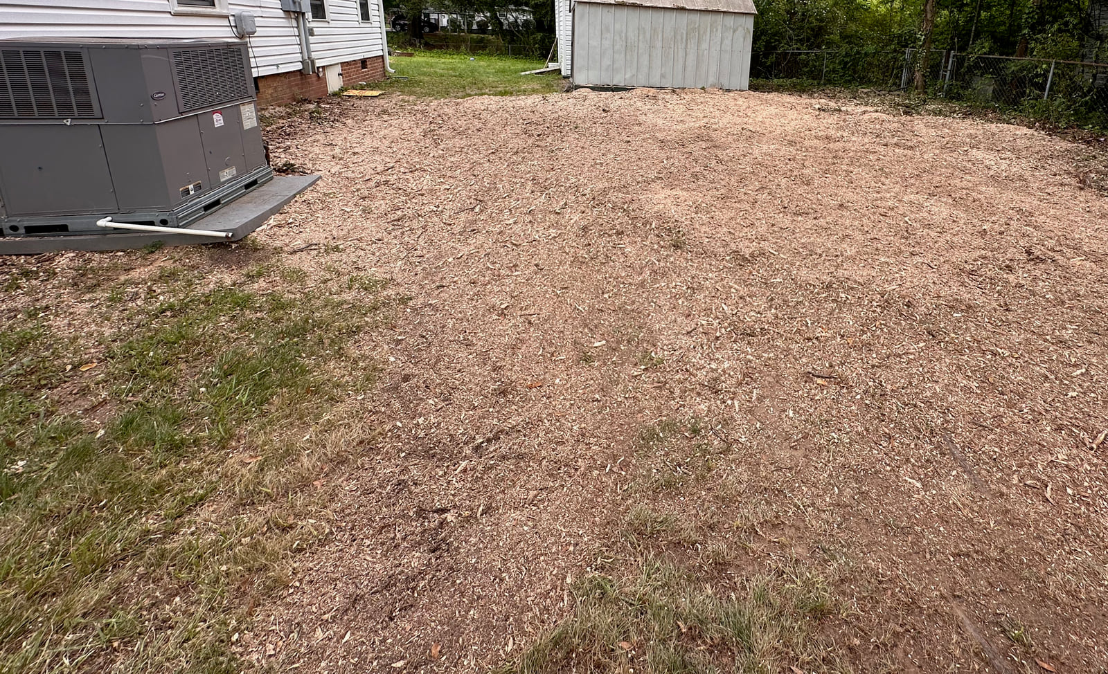 Stump area after grinding