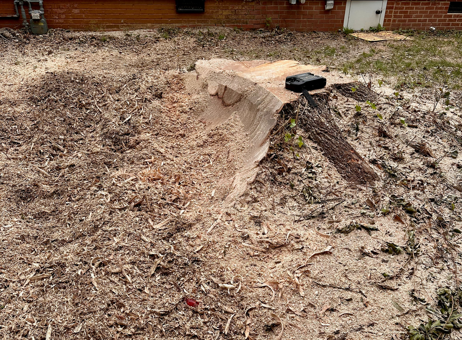 Stump partially ground